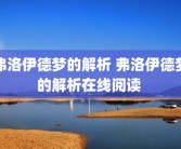 弗洛伊德梦的解析 弗洛伊德梦的解析在线阅读 