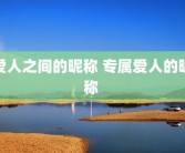 爱人之间的昵称 专属爱人的昵称 