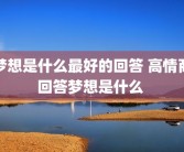 梦想是什么最好的回答 高情商回答梦想是什么 