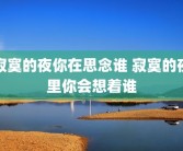 寂寞的夜你在思念谁 寂寞的夜里你会想着谁