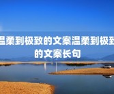 温柔到极致的文案温柔到极致的文案长句