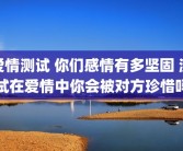 爱情测试 你们感情有多坚固 测试在爱情中你会被对方珍惜吗
