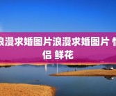 浪漫求婚图片浪漫求婚图片 情侣 鲜花