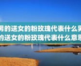 男的送女的粉玫瑰代表什么男的送女的粉玫瑰代表什么意思