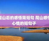 爬山后的感悟简短句 爬山感悟心情的短句子 