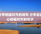 分手祝福对方的短句 分手后衷心祝福对方的句子 