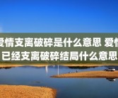 爱情支离破碎是什么意思 爱情已经支离破碎结局什么意思