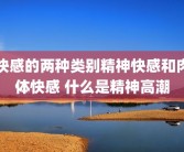 快感的两种类别精神快感和肉体快感 什么是精神高潮