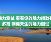 魅力测试 看看你的魅力指数有多高 测你天生的魅力测试