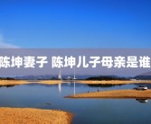 陈坤妻子 陈坤儿子母亲是谁 