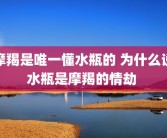 摩羯是唯一懂水瓶的 为什么说水瓶是摩羯的情劫 