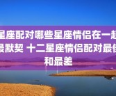 星座配对哪些星座情侣在一起最默契 十二星座情侣配对最佳和最差