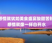 感情就犹如美食盛宴酸甜苦辣 感情就像一杯白开水