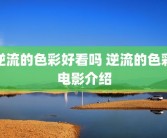 逆流的色彩好看吗 逆流的色彩电影介绍