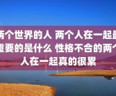 两个世界的人 两个人在一起最重要的是什么 性格不合的两个人在一起真的很累