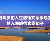 很现实的人生感悟文案很现实的人生感悟文案句子