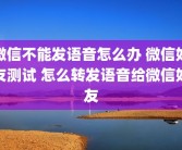 微信不能发语音怎么办 微信好友测试 怎么转发语音给微信好友