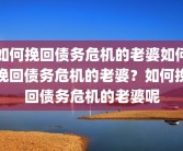 如何挽回债务危机的老婆如何挽回债务危机的老婆？如何挽回债务危机的老婆呢