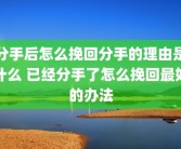分手后怎么挽回分手的理由是什么 已经分手了怎么挽回最好的办法
