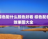 棕色配什么颜色好看 棕色配色效果图大全 