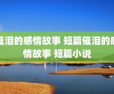 催泪的感情故事 短篇催泪的感情故事 短篇小说